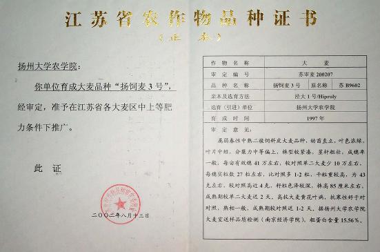 饲、食兼用大麦品种——扬饲麦3号 国家保护授权品种转让与技术推广