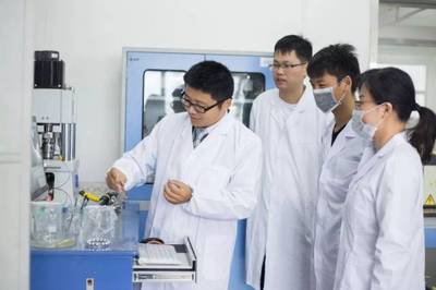 填补技术空白，引领绿色未来 大亚湾仿生催化氧化技术的突破与应用前景